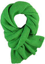 Load image into Gallery viewer, FRAAS - 647000 - Scarf - Green
